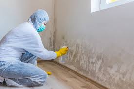 Best Mold Removal for HVAC Installations  in Clarks Green, PA